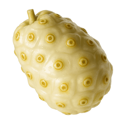 Conoce a tu nuevo mejor amigo: NONI